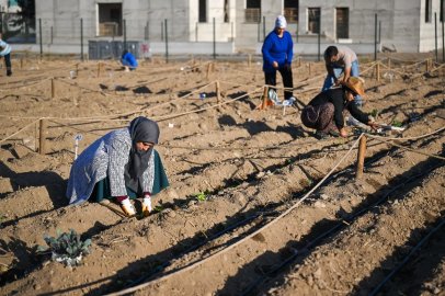 İzmir Bornova’dan dünyaya çevrecilik dersi
